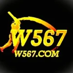 W567 Game