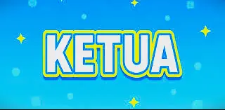 Ketua APK