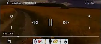 Pur Video Player APK